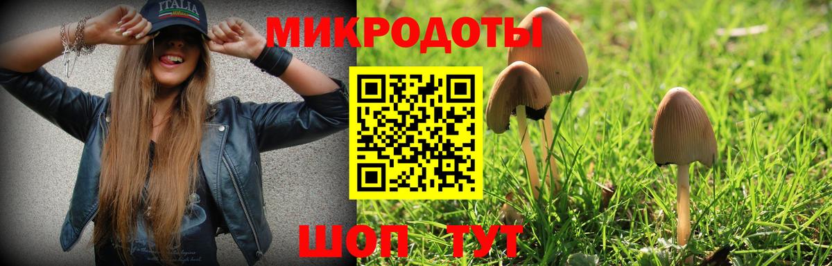 Звенигород  Галлюциногенные грибы мицелий  Вход с VPN 